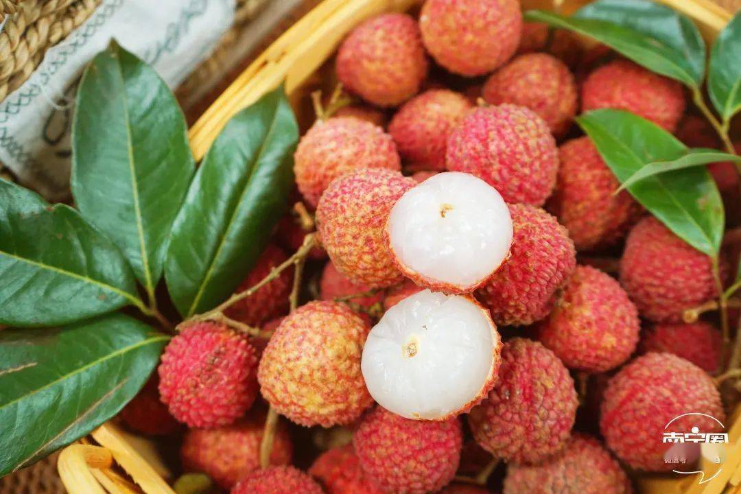 百年老樹現摘直發!靈山桂味,無核荔枝,爆汁清甜等你來嘗!一般超市買不