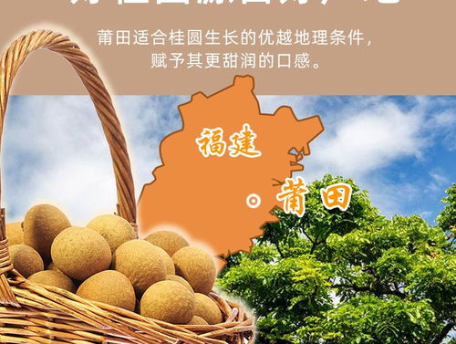 莆田桂圓肉龍眼肉干無核特產無加糖龍眼肉干半斤 一斤