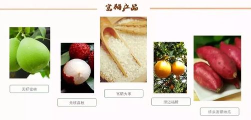 海南再傳佳音！無核荔枝之鄉榮膺“中國最美休閑度假勝地”